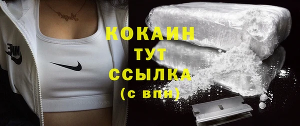 стафф Аркадак