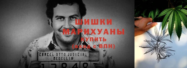 стафф Аркадак