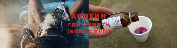 индика Баксан