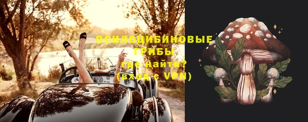 стафф Аркадак